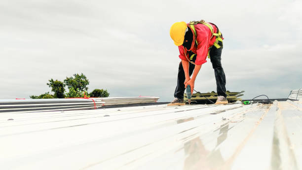 Steel Roofing